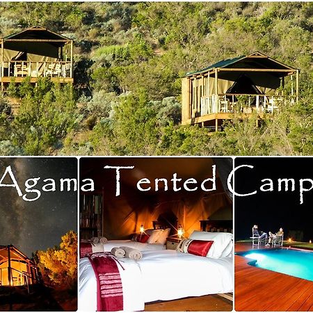 Agama Tented Camp Garies المظهر الخارجي الصورة