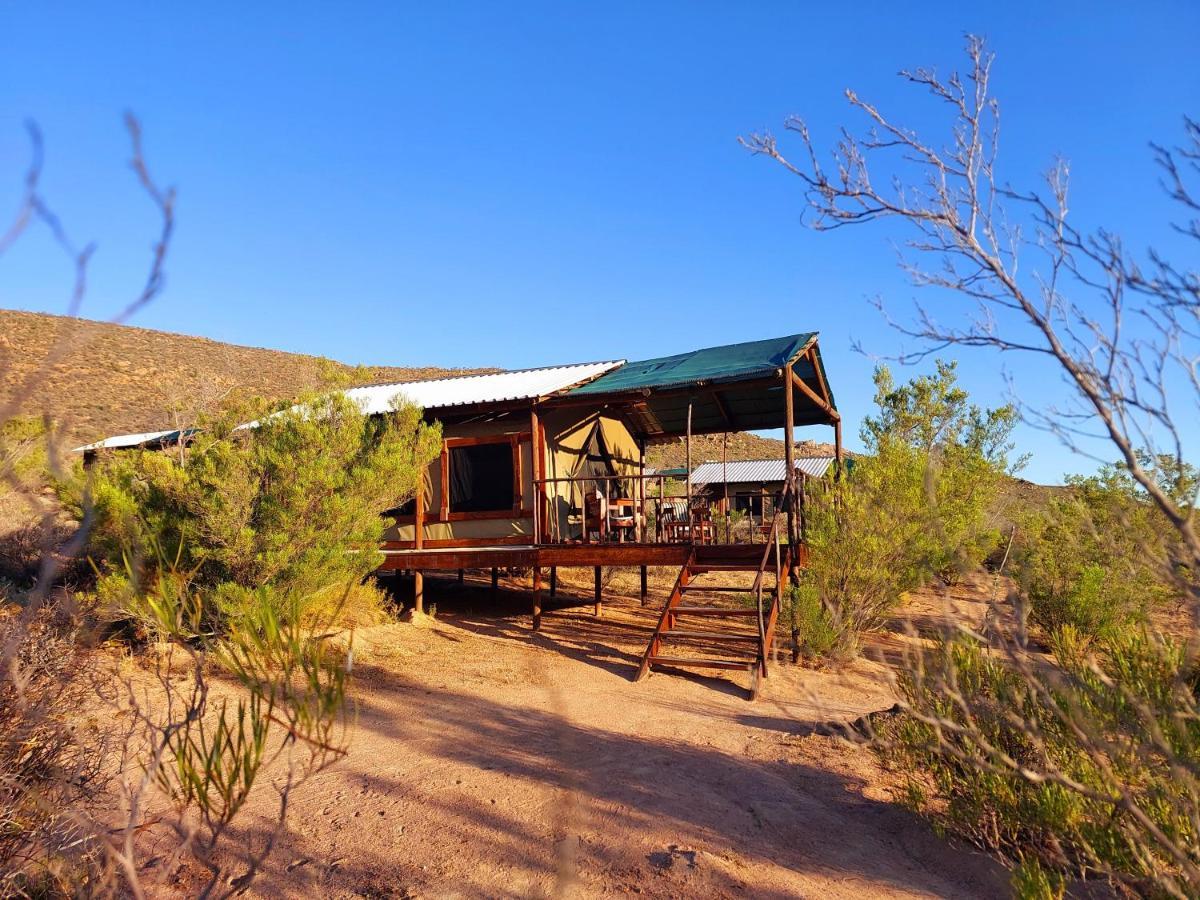 Agama Tented Camp Garies المظهر الخارجي الصورة