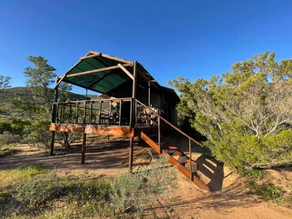 Agama Tented Camp Garies المظهر الخارجي الصورة