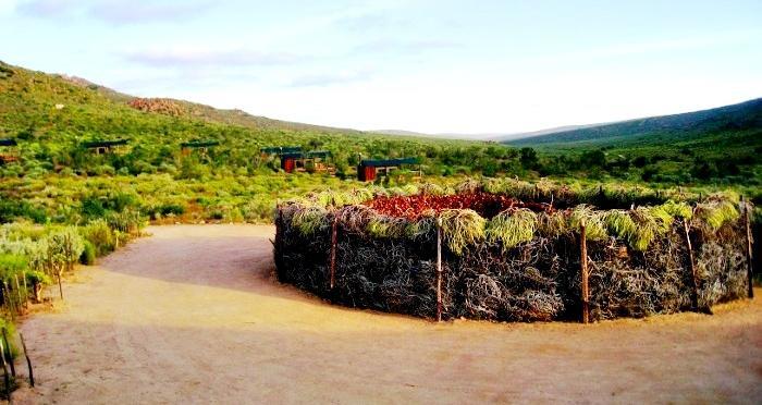Agama Tented Camp Garies المظهر الخارجي الصورة
