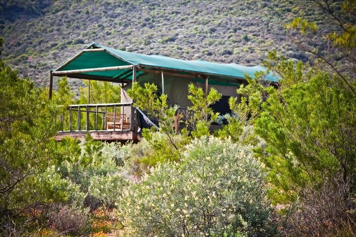 Agama Tented Camp Garies المظهر الخارجي الصورة