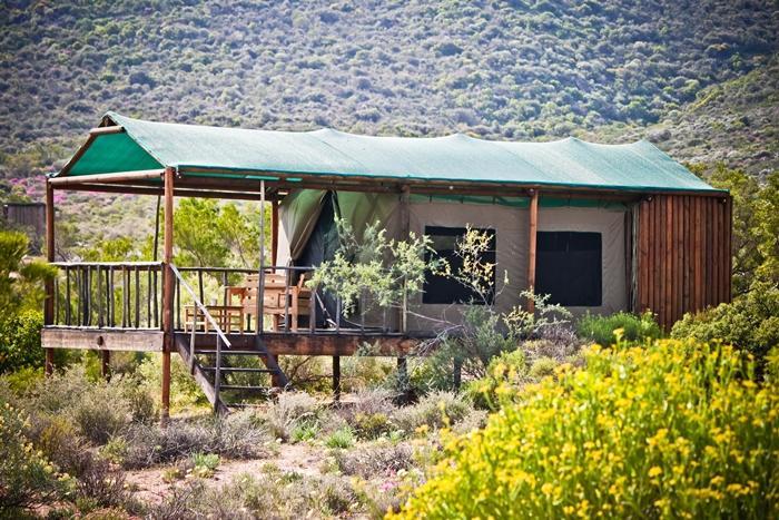 Agama Tented Camp Garies المظهر الخارجي الصورة