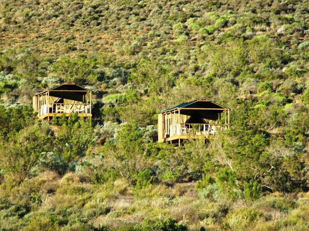 Agama Tented Camp Garies المظهر الخارجي الصورة