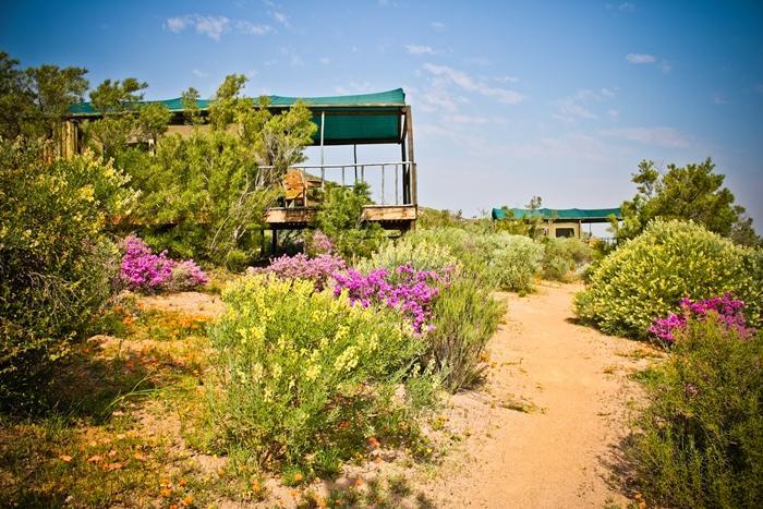 Agama Tented Camp Garies المظهر الخارجي الصورة
