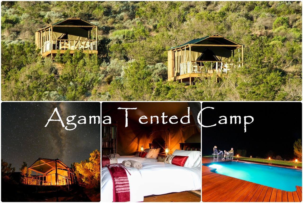 Agama Tented Camp Garies المظهر الخارجي الصورة